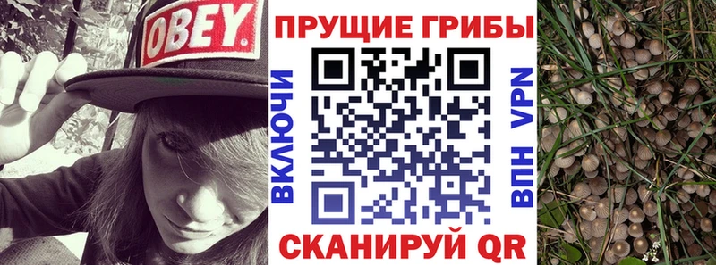 Галлюциногенные грибы прущие грибы  Змеиногорск 
